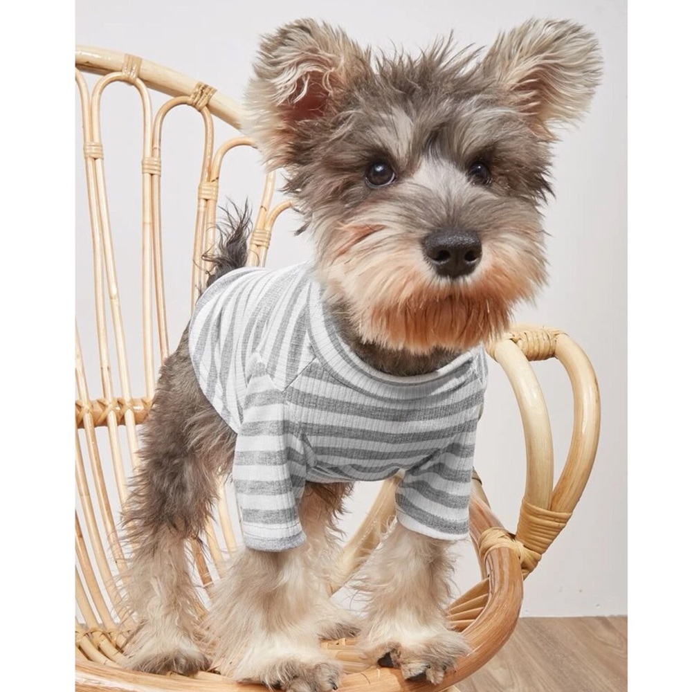 Striped Print Pet Tee 🐕